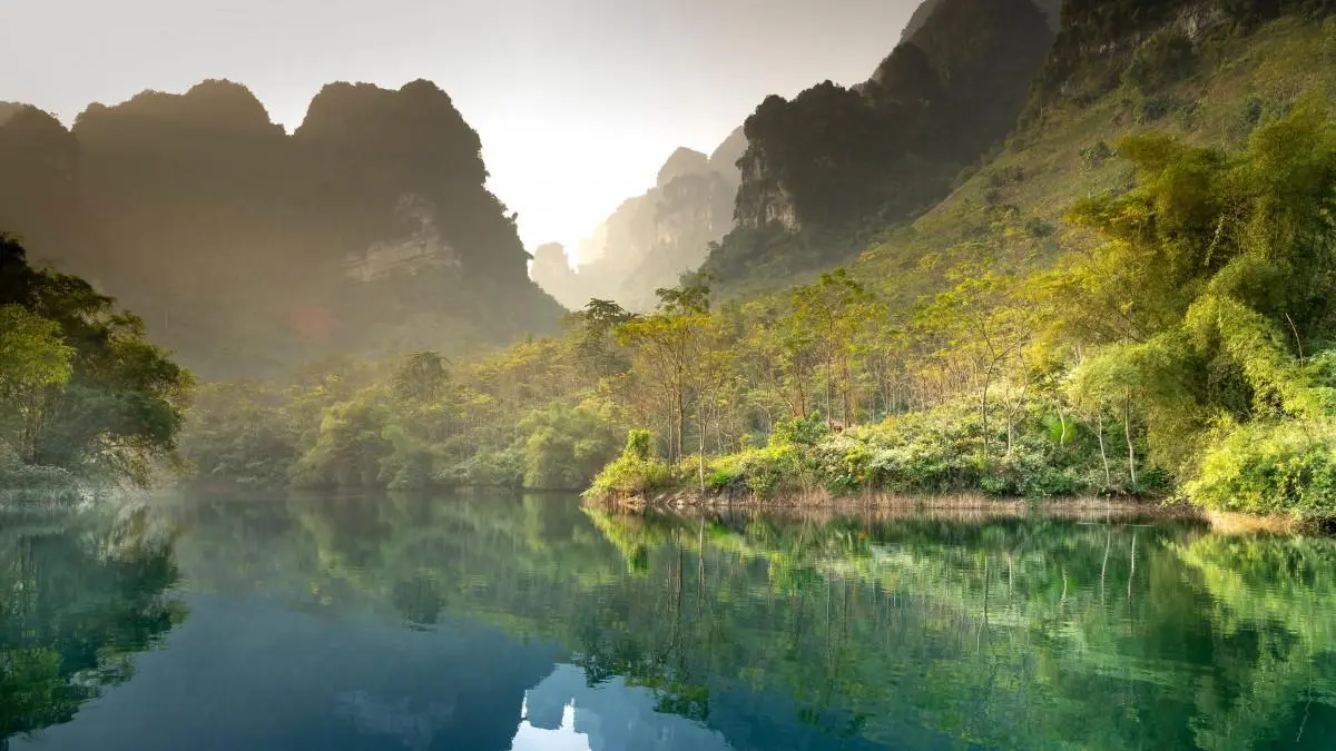 高效独特
